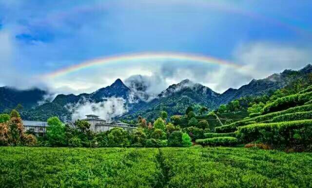 看完这些摄影作品点评，你的摄影技能会有大幅提升