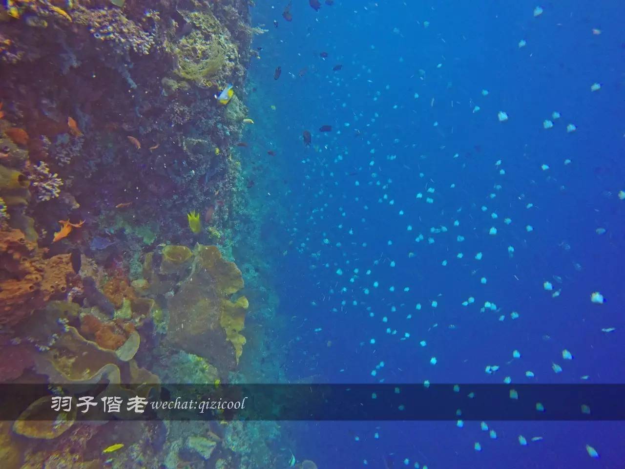 美娜多海岛一日游,印尼美娜多跟团游