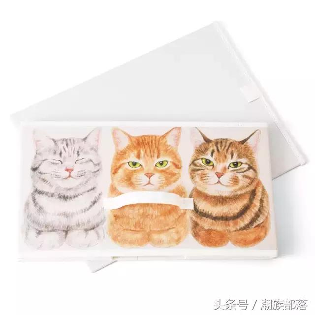 猫控保健,猫控送什么礼物