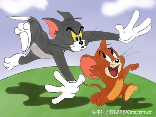 这只猫咪人人想要-二次元的猫咪童年篇