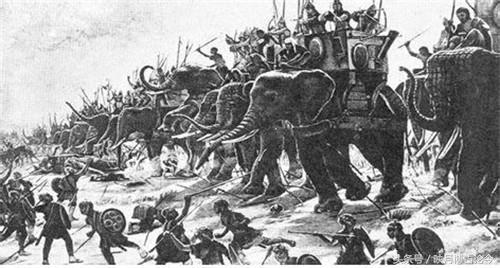 这个几乎众所周知的军事术语,原来是从这场战役中得来