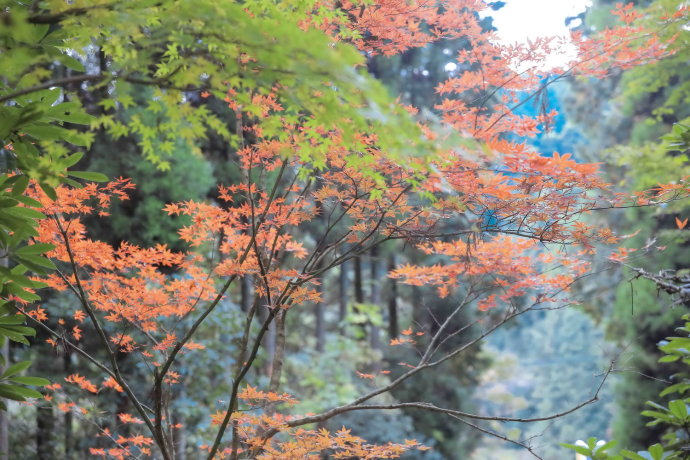温泉之旅温泉篇,体验更舒适的自然温泉之旅