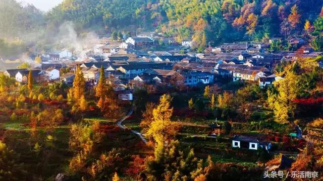 春节南京旅游景点免门票吗,南京春节期间免费景点要预约吗