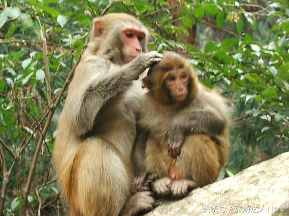 周末旅游必备旅行攻略大全,旅游必备十大秘籍