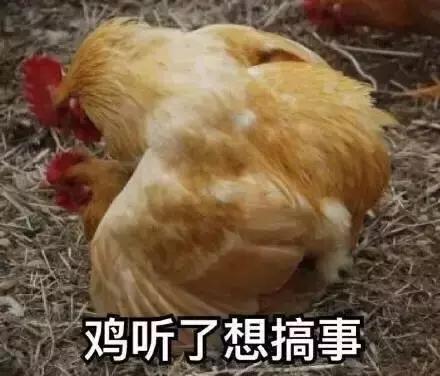 各大牌鸡年限定款,外国人对“鸡”有什么误会?