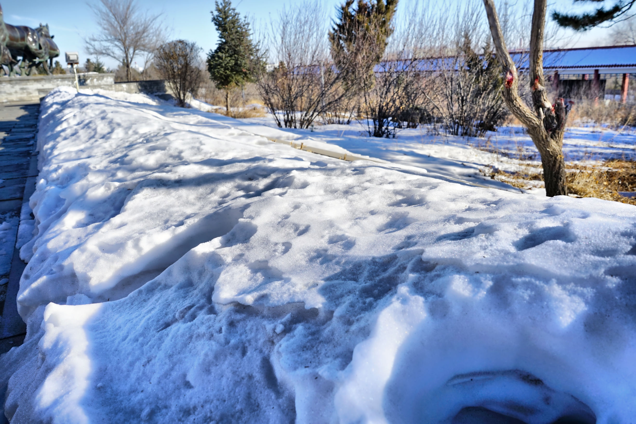 穿越内蒙古大草原雪景,来内蒙古大草原看雪