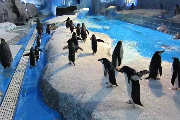 30个好消息新闻,最新上海好消息