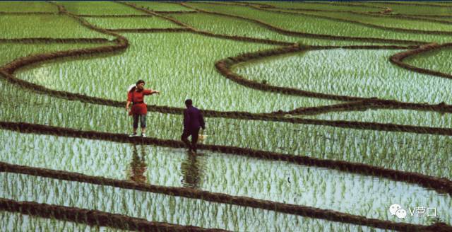 熊岳入选国家美丽宜居小镇示范，营口还有3个村榜上有名