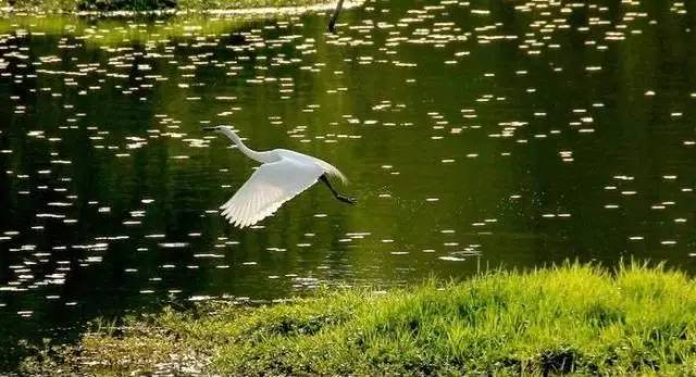 从不羡慕北上广的生活,上海人眼中的湖州