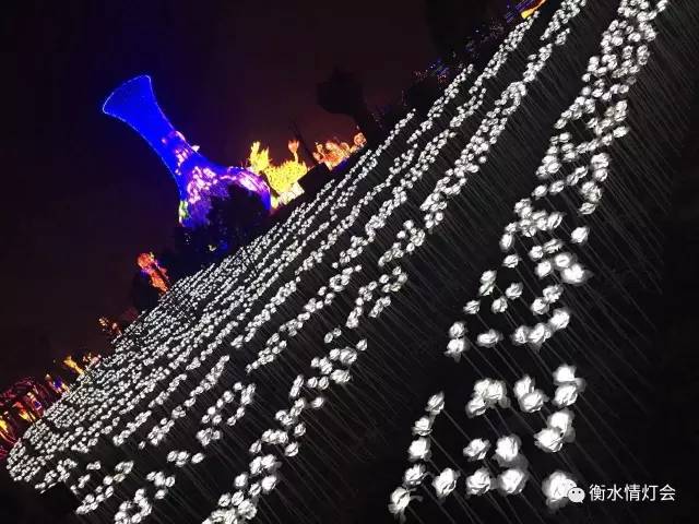 衡水电视台晚会,衡水电视台春节联欢晚会2024年