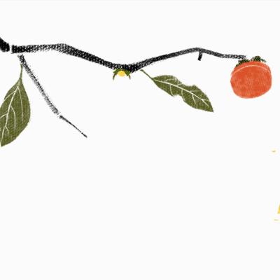 舌尖上的家乡社区,舌尖上的餐桌