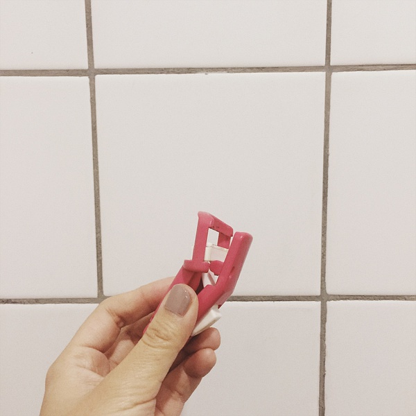 璞嗙摚鏃ヨ澶у叏,璞嗙摚鏃ヨ妞嶇墿