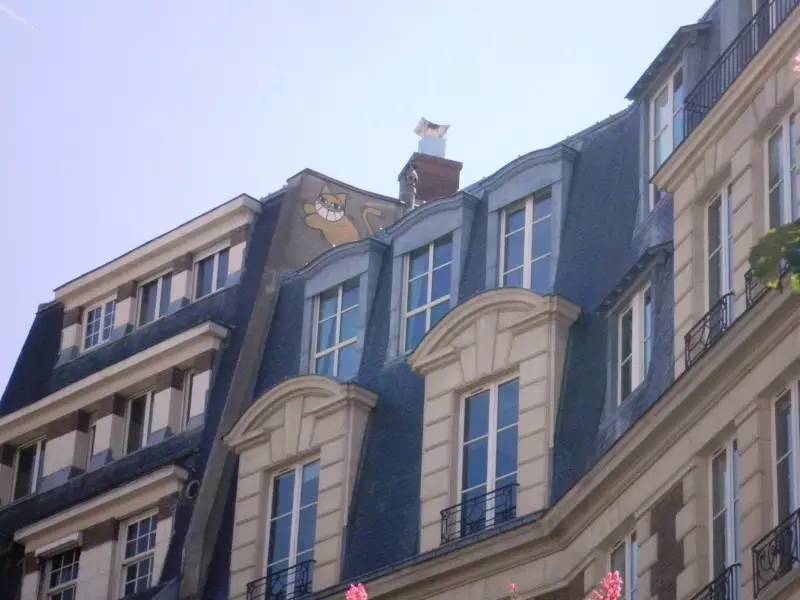 有一个街头艺术家把一只猫涂遍了巴黎，后来它遍布了全世界