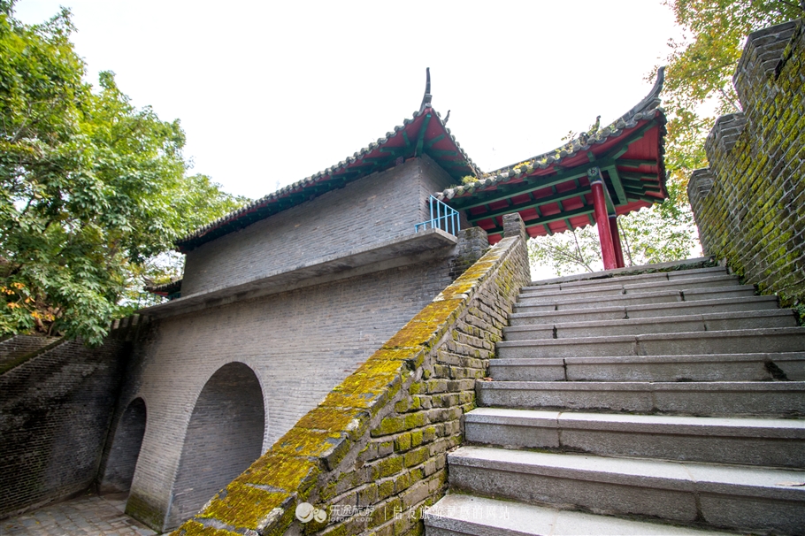 丹东大梨树,干出一片的天地间