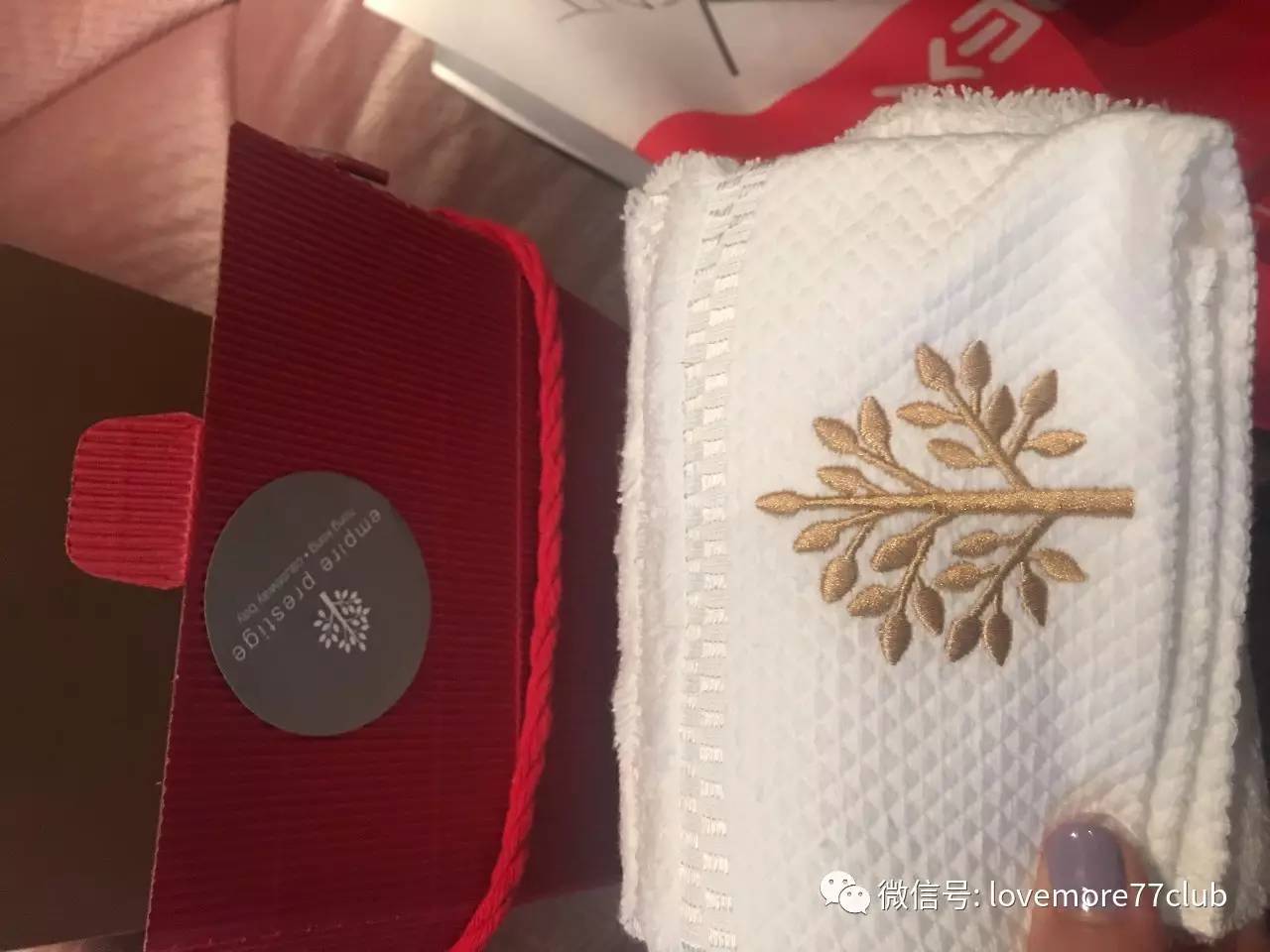 去香港住哪里比较方便吃的比较多,去香港住在哪个地区性价比高