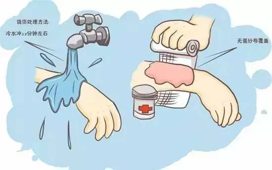 春节需加强安全防范意识,安全六防助娃平安过寒假