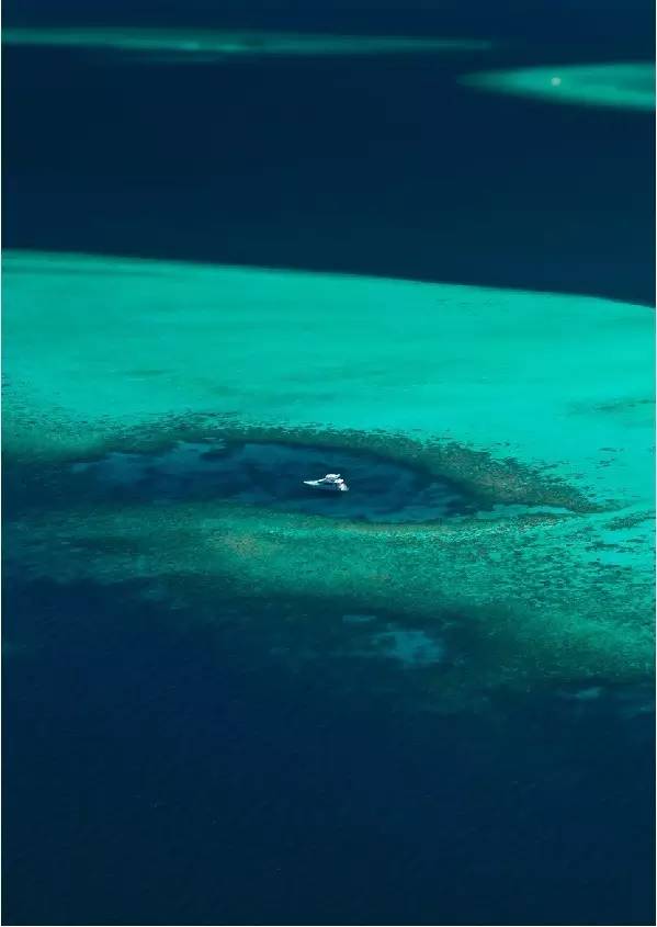 思聪和马代瑞吉,思聪马代瑞吉现状