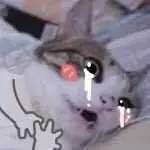 董卿口红蜜汁抢头条，这支网RED口红究竟是哪款？baby杨幂刘诗诗迪丽热巴……女明星同款唇色你也可以get！