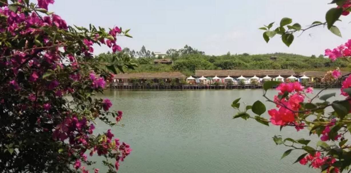 南宁农家乐推荐周边特色农家乐,南宁良庆区哪里有好的农家乐