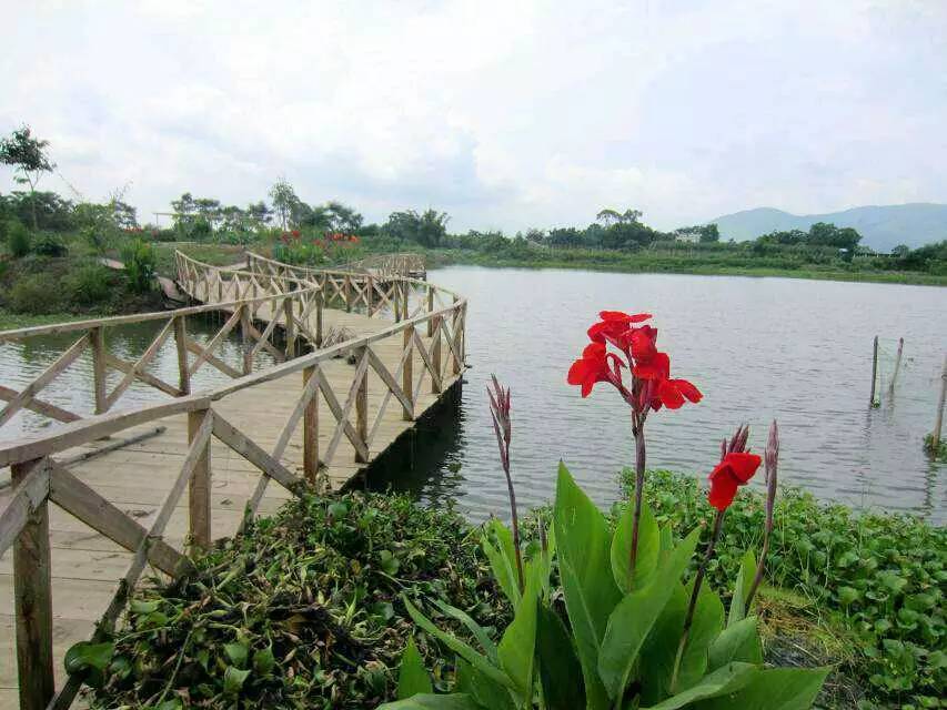 南宁附近农家乐排行榜,南宁十全十美农家乐