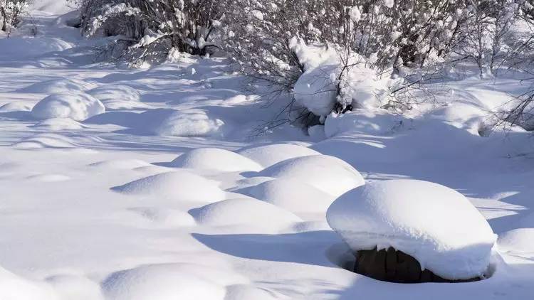 最新喀纳斯禾木视频,新疆喀纳斯禾木冬天视频