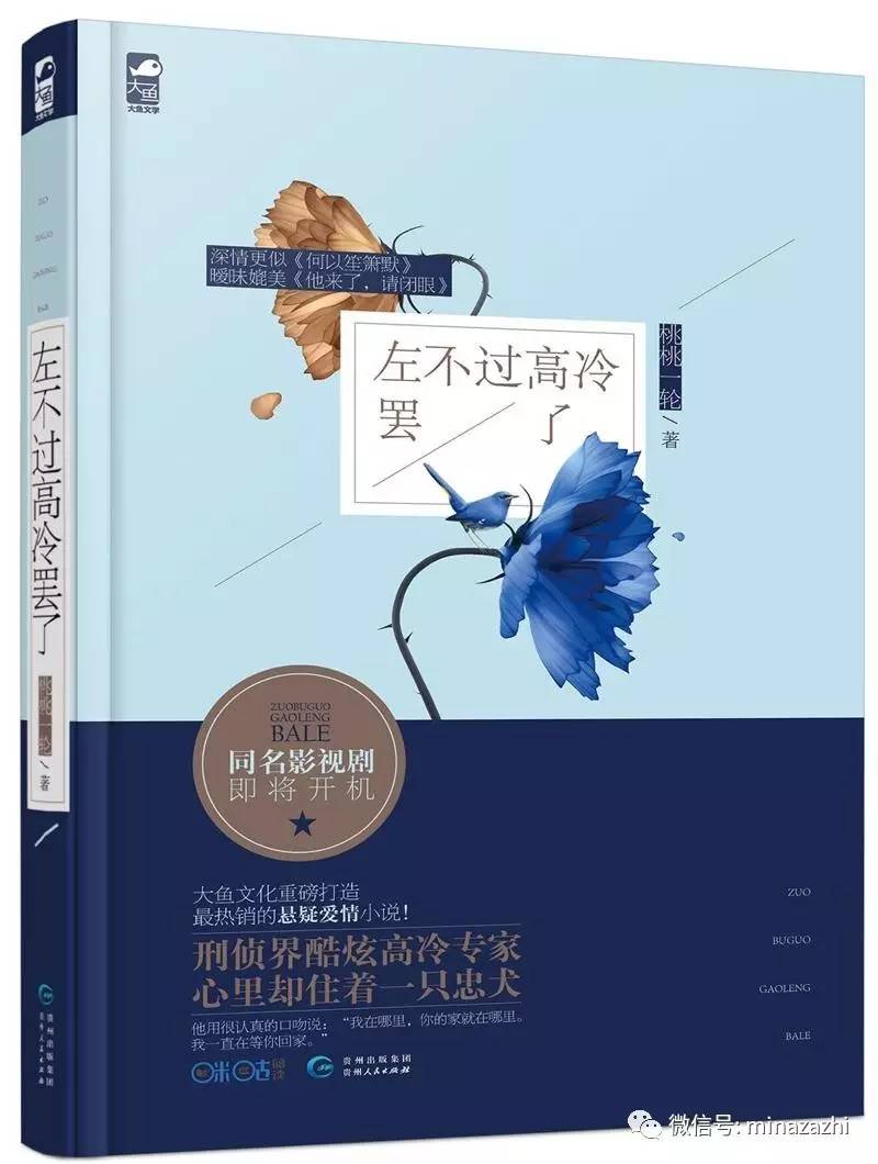 不再书荒言情小说推荐,不再剧荒电视剧