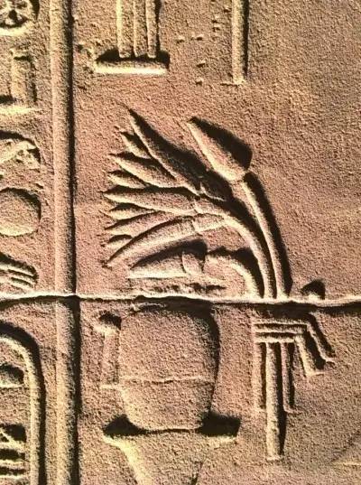 靠谱儿导游赛义德