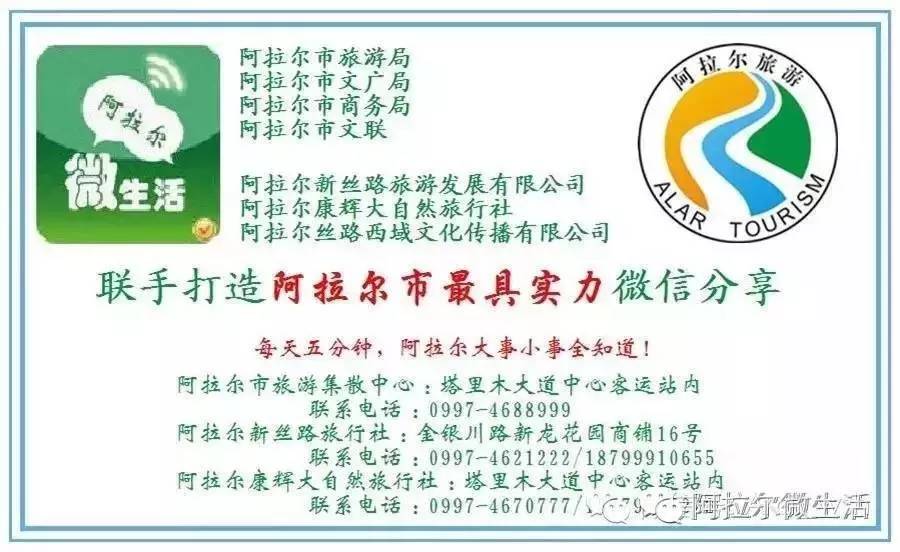 「原创阿拉尔」醉美郁金香