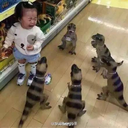 太搞笑了的图片,太搞笑了配图