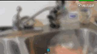 不小心掉进垃圾桶,不小心掉进了垃圾桶