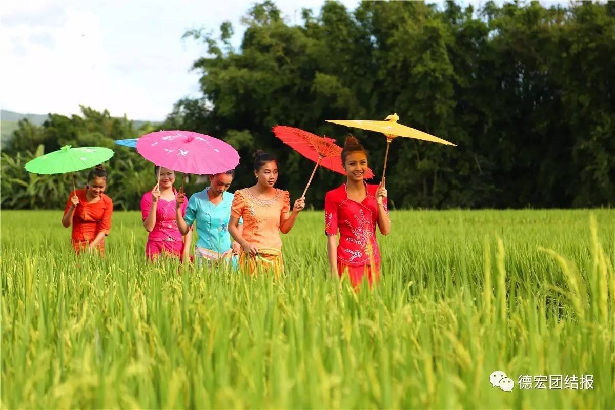 看完这些才知道，日本竟然没有德宏好