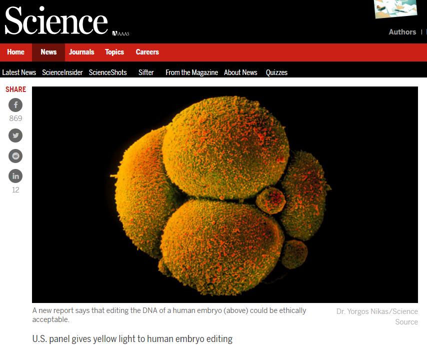 缇庣紪杈戜汉绫昏儦鑳庣爺绌惰璐ㄧ枒,缇庡浗浜虹被鑳氳儙缂栬緫