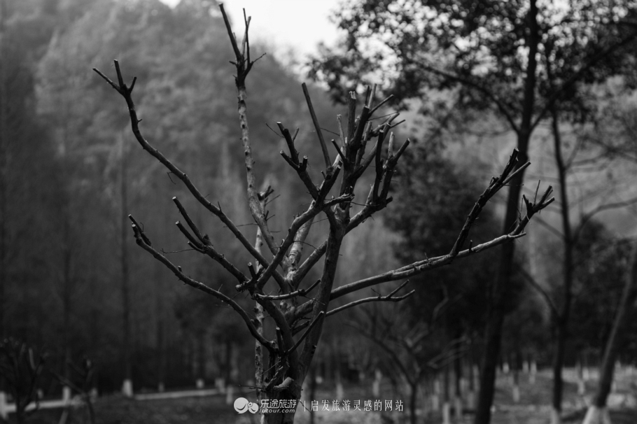跟着镜头领略震撼心灵的景色,跟随镜头观人文与美景