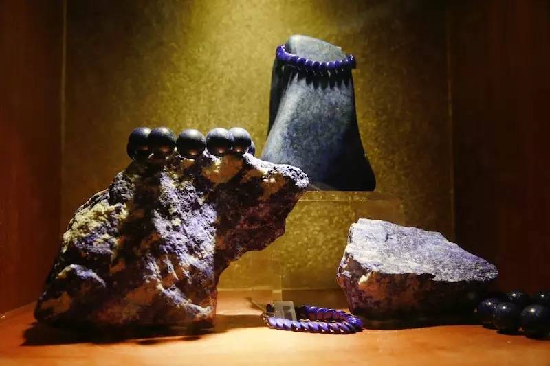 上海地质科普馆鸵鸟,上海地质博物馆有哪些石头