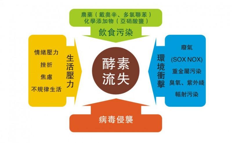 酵素真能减肥吗,酵素真的能减肥有副作用么