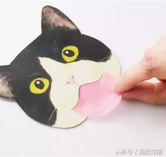 猫控营养补充剂,猫控