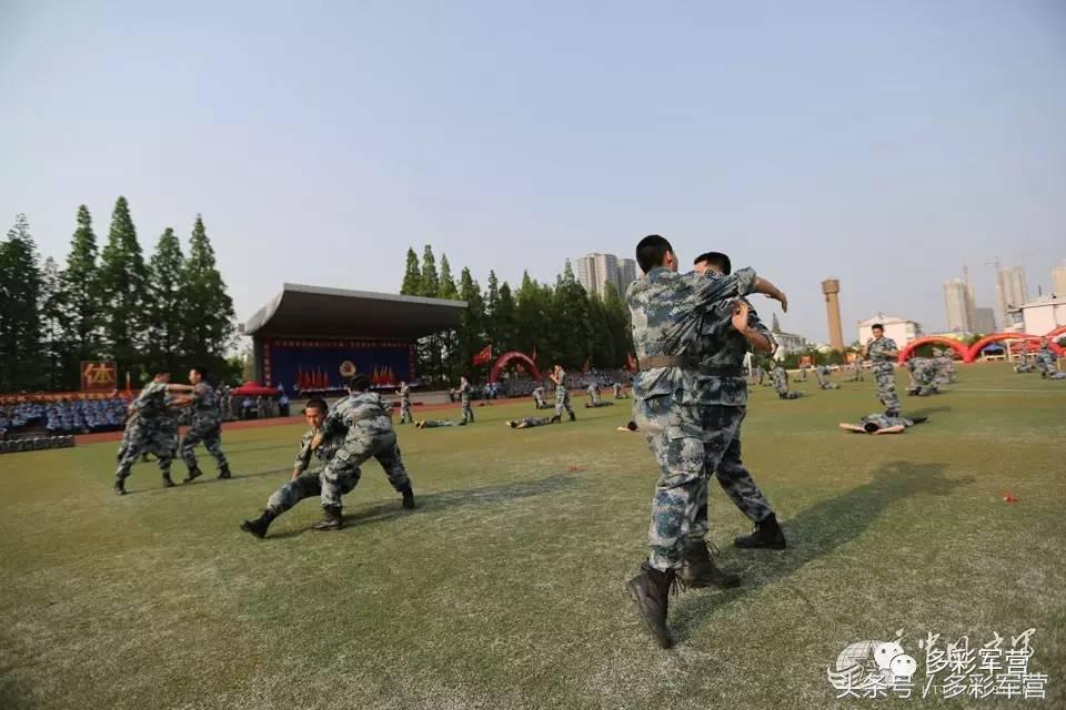 多彩军营,部队基层体育竞赛编排方法