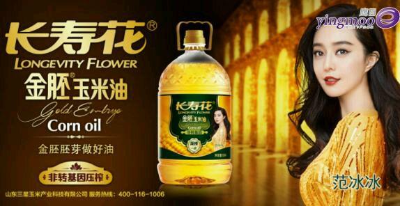 扒一扒范冰冰的发家史,范冰冰代言的假发品牌