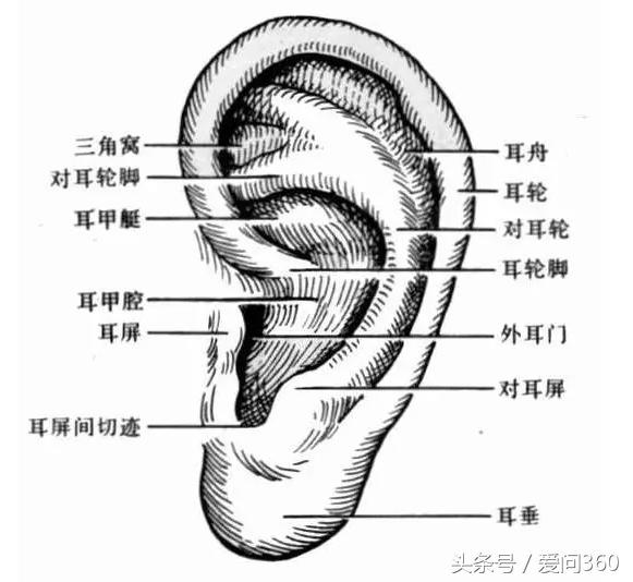 牙疼的要命谁有办法,牙疼要命咋办