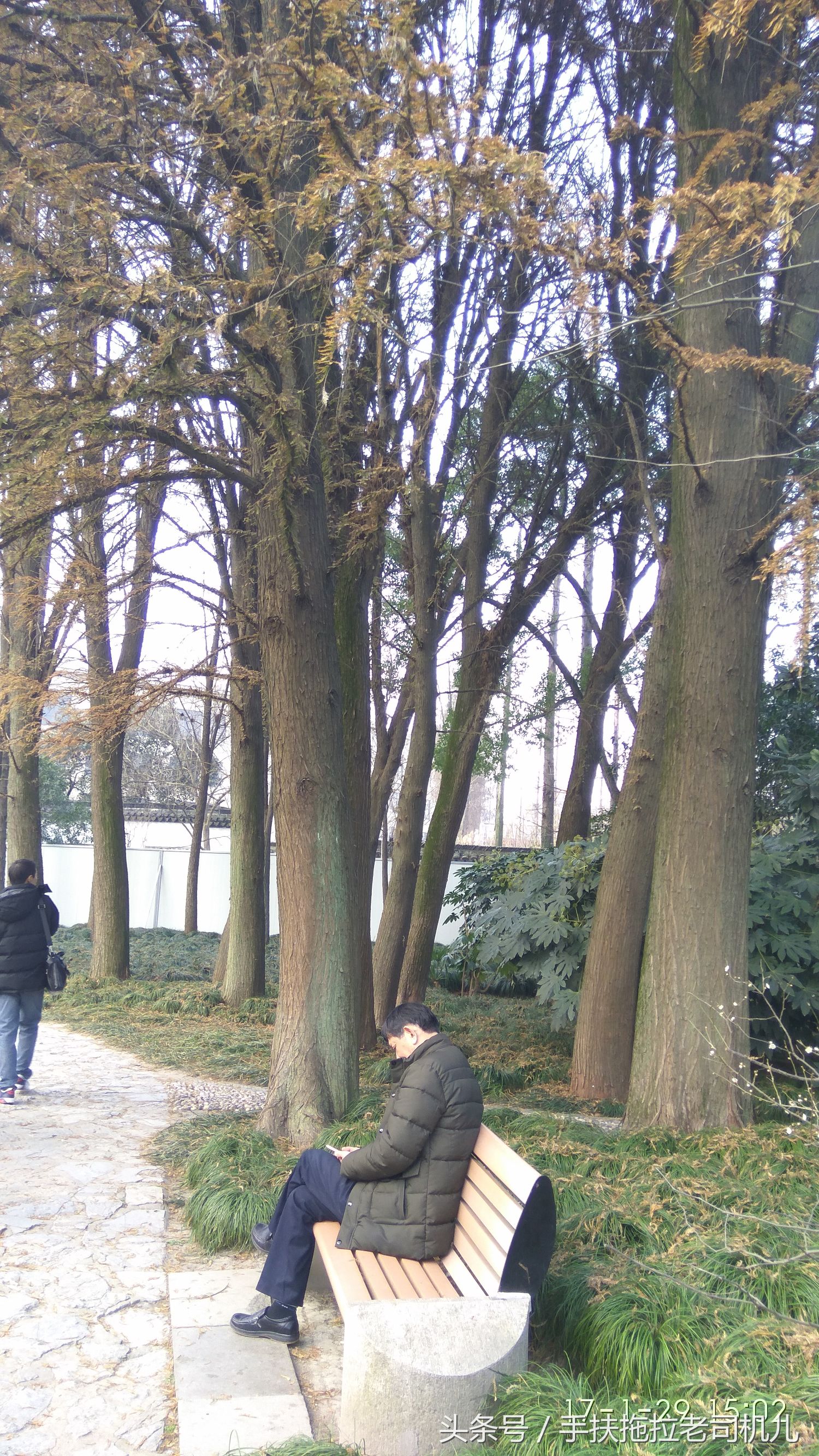 松江醉白池旅游攻略,松江醉白池免费时段