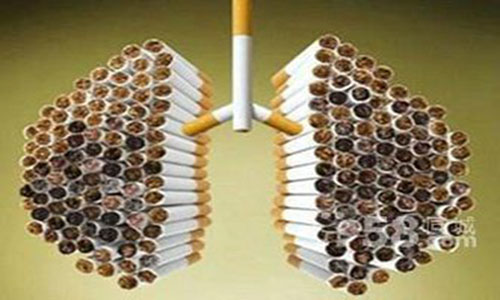 养肺排肺毒最好食物图片,护肺最好的十种食物