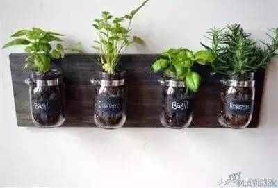 老干妈瓶子能当垃圾回收吗,老干妈玻璃瓶改造成花瓶