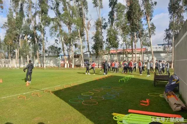 卓尔战泰达最新视频,卓尔黄海最新赛程