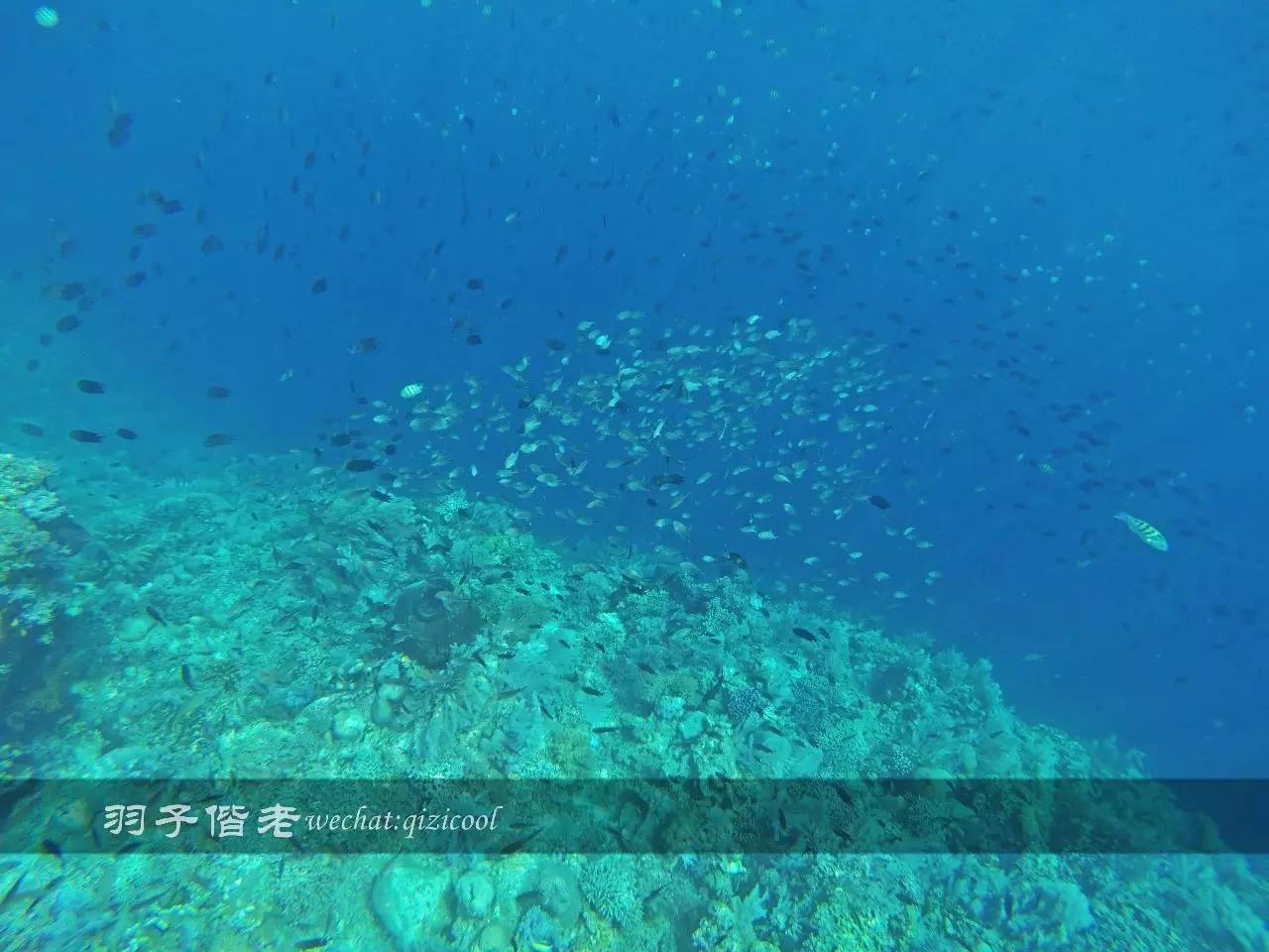 美娜多海岛一日游,印尼美娜多跟团游