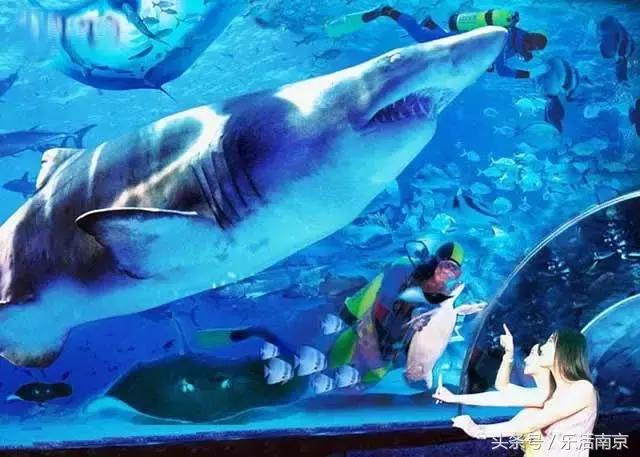 春节南京旅游景点免门票吗,南京春节期间免费景点要预约吗