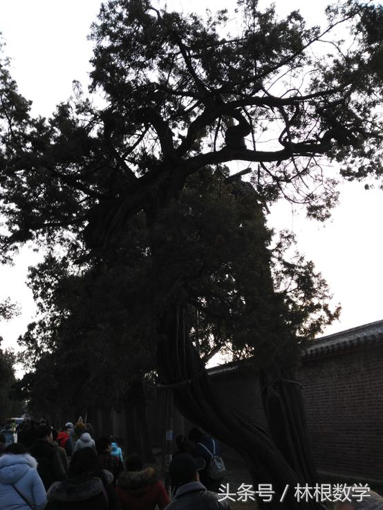 数字三孔—春节寻根之旅