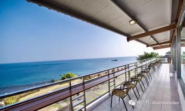 春节花市的鲜花,春节能看花的植物