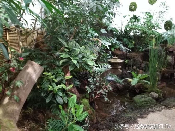 此由志园，非彼幼稚园