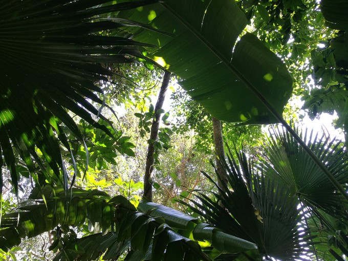 三亚旅游美食攻略大全,三亚美食美篇