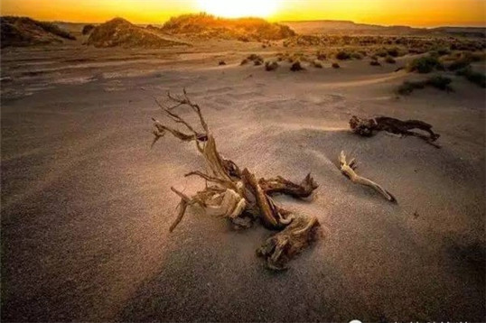 沙漠的灵异事件,沙漠遇到怪人灵异事件